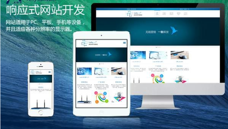 海南软件定制开发：解锁企业成长的密码